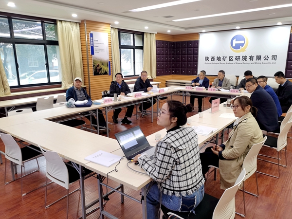 我公司承擔(dān)的兩個地?zé)釁^(qū)塊開發(fā)可行性論證項目順利通過評審