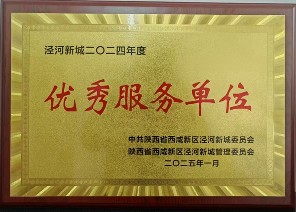 陜西地礦區研院有限公司榮獲涇河新城&ldquo;優秀服務單位&rdquo;稱號