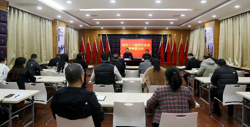 陜西地礦區(qū)研院有限公司召開學習貫徹黨的二十屆四中全會精神宣講會